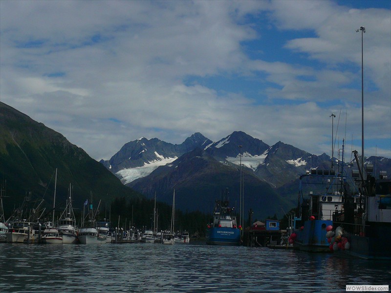 Return to harbor view Return to harbor view