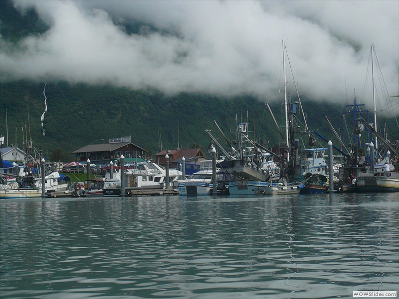 Valdez harbor Valdez harbor