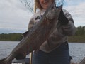 DJ17LB